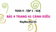 Bài 4 trang 41 Toán 9 tập 1 Cánh Diều
